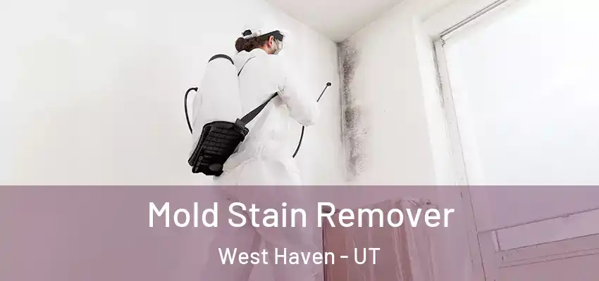  Mold Stain Remover West Haven - UT