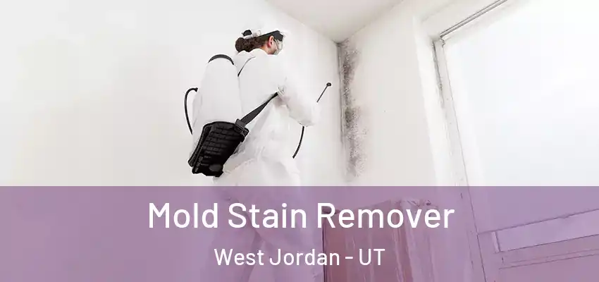  Mold Stain Remover West Jordan - UT