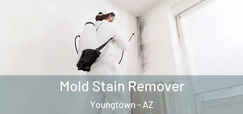 Mold Stain Remover Youngtown - AZ
