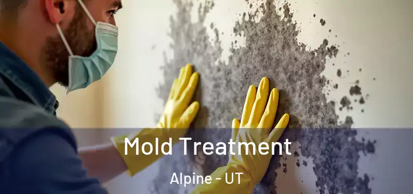 Mold Treatment Alpine - UT
