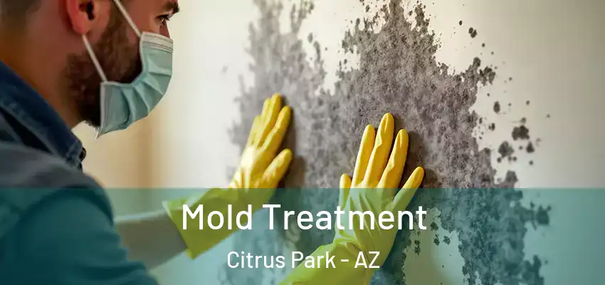  Mold Treatment Citrus Park - AZ