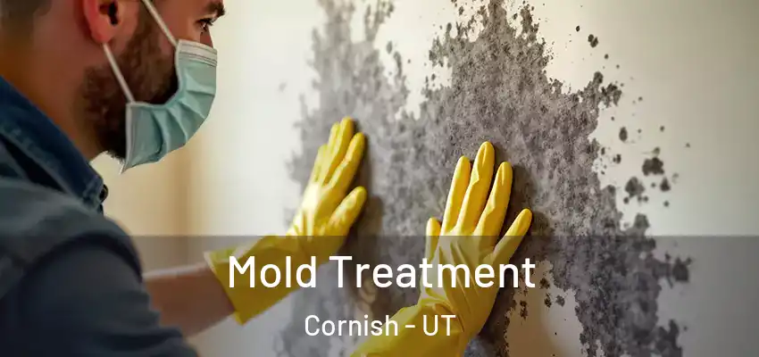 Mold Treatment Cornish - UT