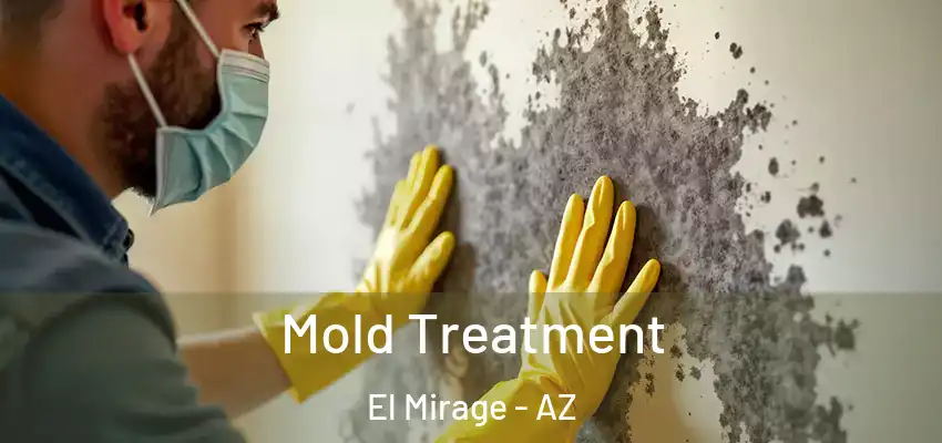  Mold Treatment El Mirage - AZ
