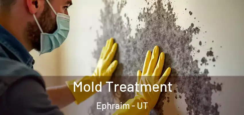  Mold Treatment Ephraim - UT