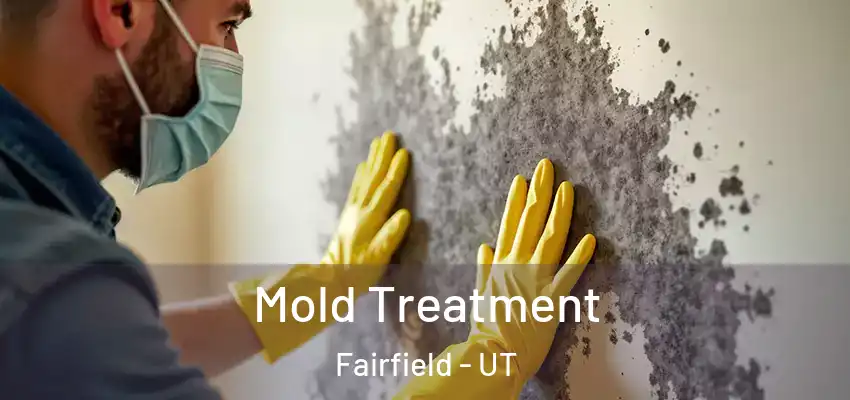  Mold Treatment Fairfield - UT