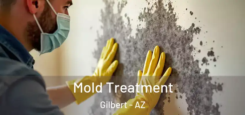 Mold Treatment Gilbert - AZ