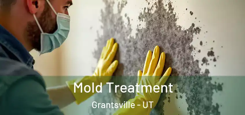  Mold Treatment Grantsville - UT