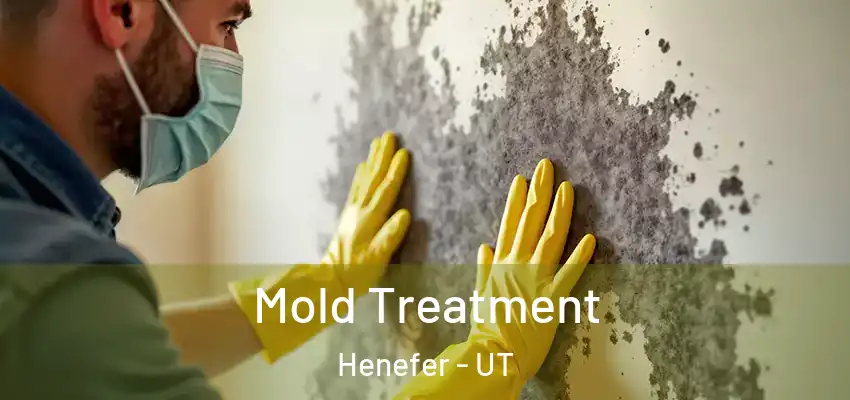 Mold Treatment Henefer - UT