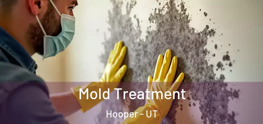  Mold Treatment Hooper - UT