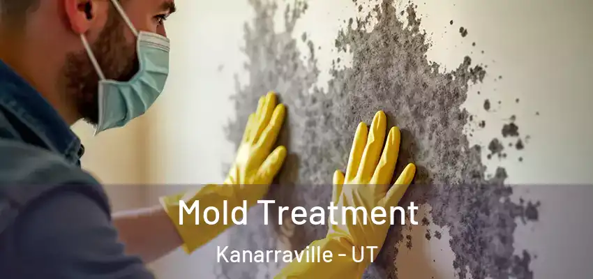 Mold Treatment Kanarraville - UT