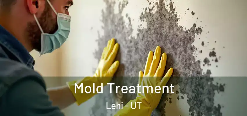 Mold Treatment Lehi - UT