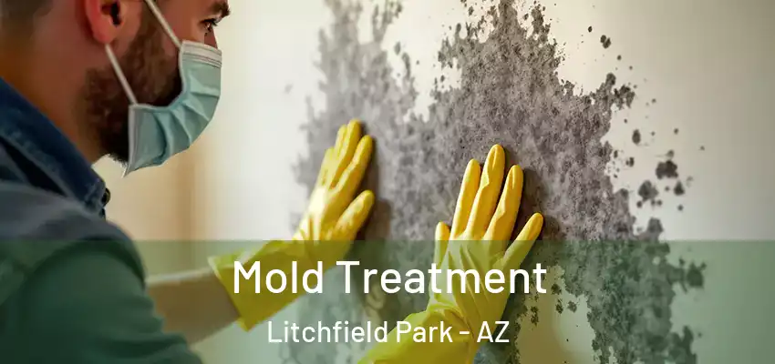 Mold Treatment Litchfield Park - AZ