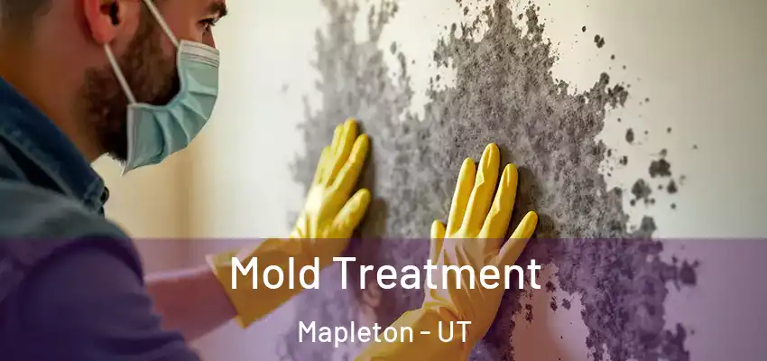 Mold Treatment Mapleton - UT