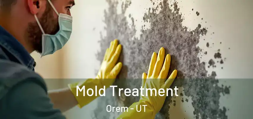  Mold Treatment Orem - UT