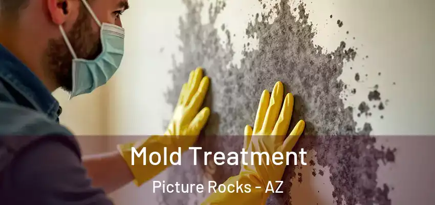  Mold Treatment Picture Rocks - AZ