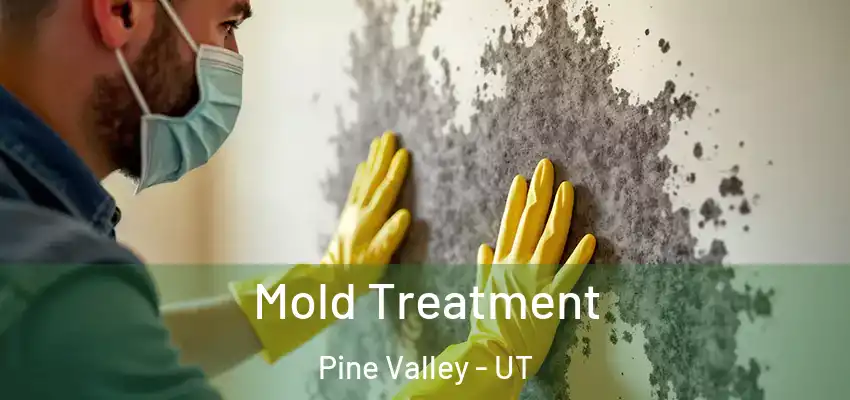  Mold Treatment Pine Valley - UT