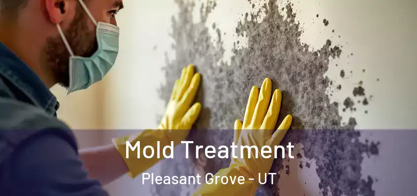 Mold Treatment Pleasant Grove - UT