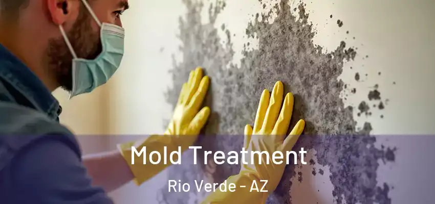  Mold Treatment Rio Verde - AZ
