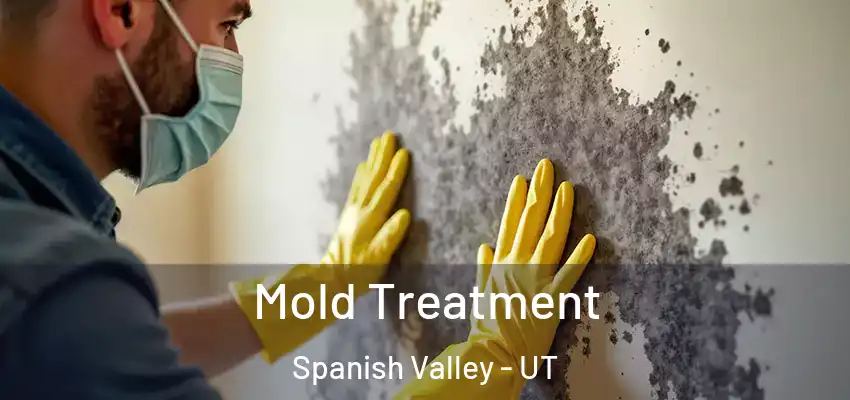 Mold Treatment Spanish Valley - UT