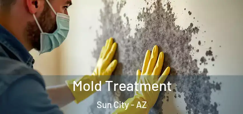  Mold Treatment Sun City - AZ
