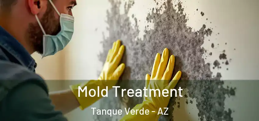  Mold Treatment Tanque Verde - AZ