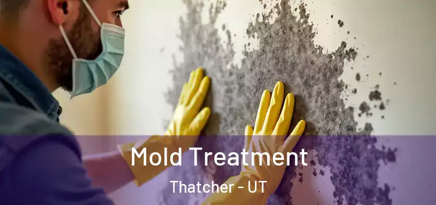  Mold Treatment Thatcher - UT