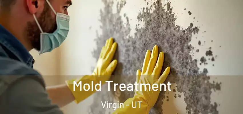  Mold Treatment Virgin - UT