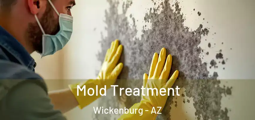  Mold Treatment Wickenburg - AZ