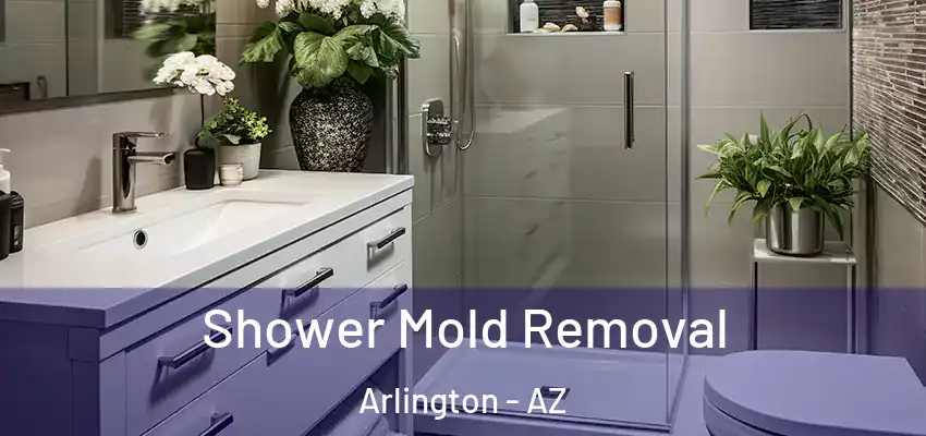  Shower Mold Removal Arlington - AZ