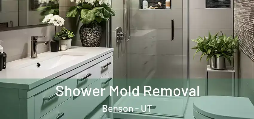  Shower Mold Removal Benson - UT