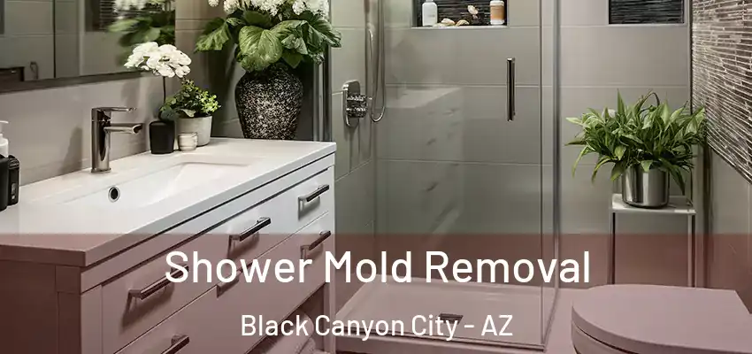  Shower Mold Removal Black Canyon City - AZ