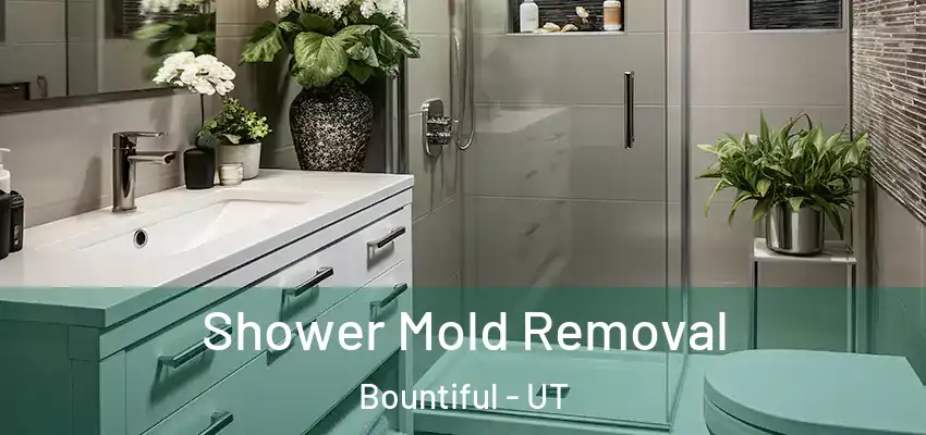  Shower Mold Removal Bountiful - UT