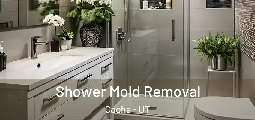  Shower Mold Removal Cache - UT