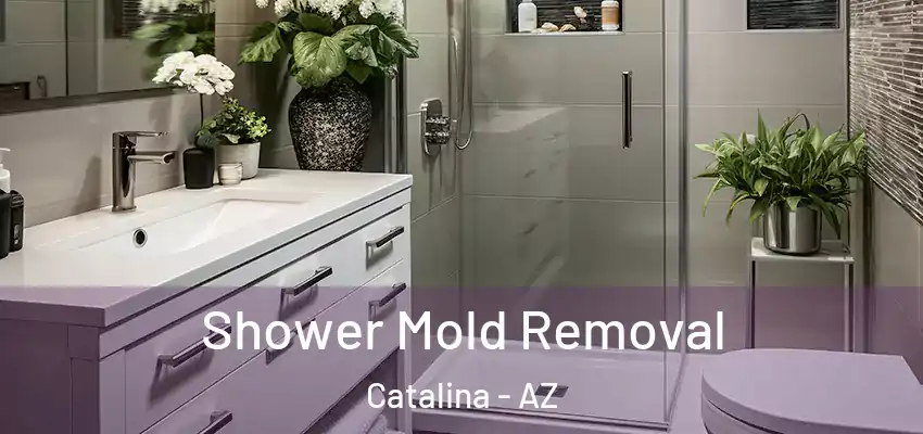  Shower Mold Removal Catalina - AZ