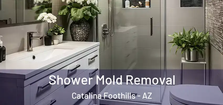 Shower Mold Removal Catalina Foothills - AZ
