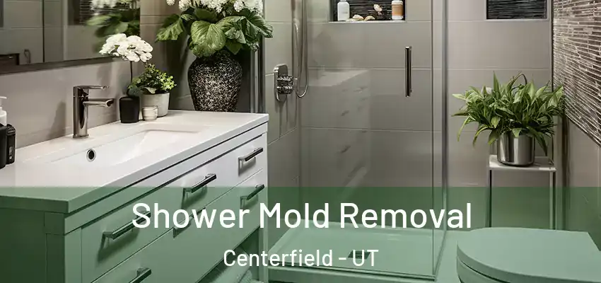  Shower Mold Removal Centerfield - UT
