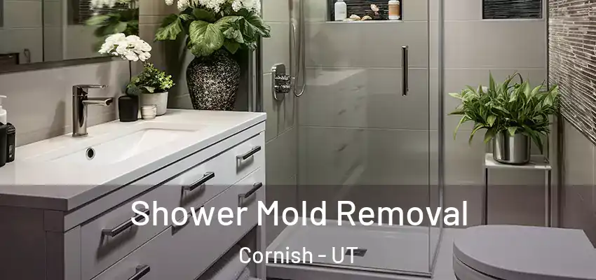 Shower Mold Removal Cornish - UT