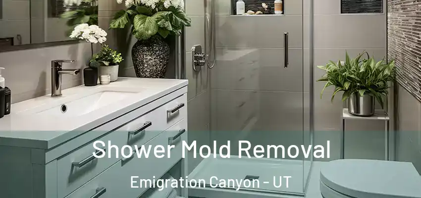  Shower Mold Removal Emigration Canyon - UT