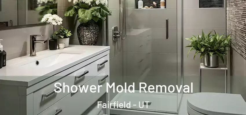  Shower Mold Removal Fairfield - UT