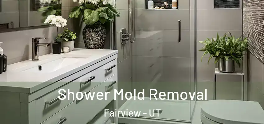 Shower Mold Removal Fairview - UT