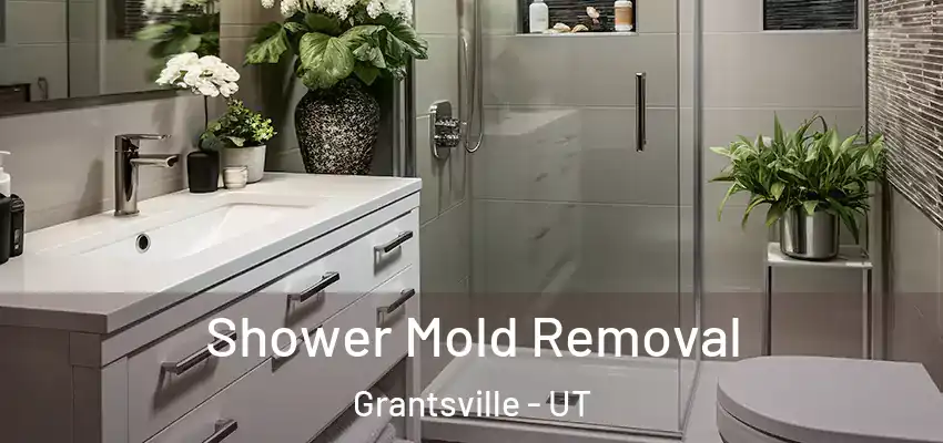 Shower Mold Removal Grantsville - UT