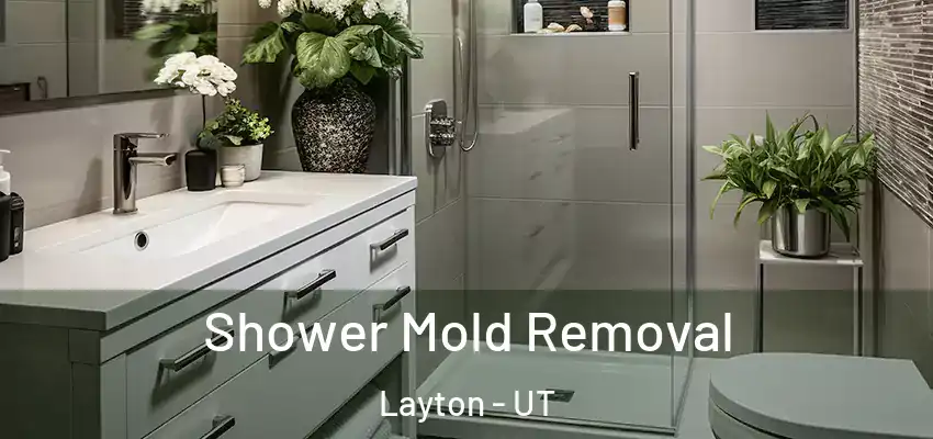  Shower Mold Removal Layton - UT