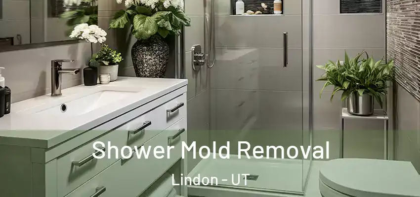 Shower Mold Removal Lindon - UT