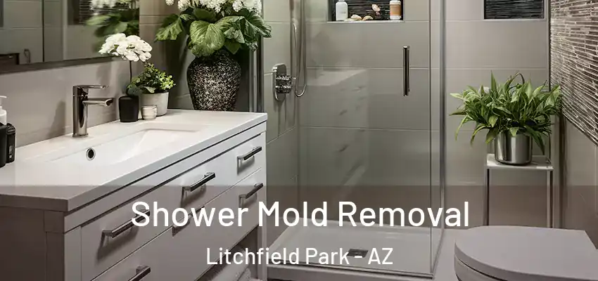  Shower Mold Removal Litchfield Park - AZ