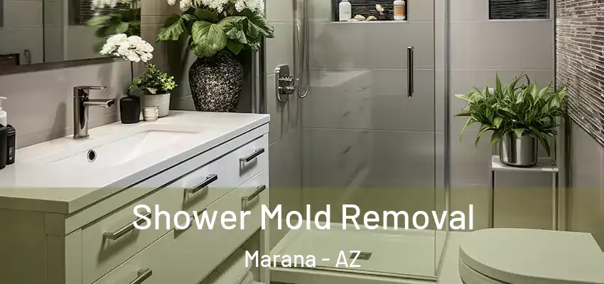  Shower Mold Removal Marana - AZ