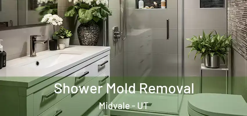 Shower Mold Removal Midvale - UT