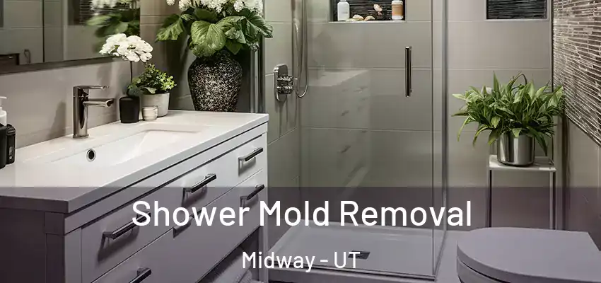  Shower Mold Removal Midway - UT