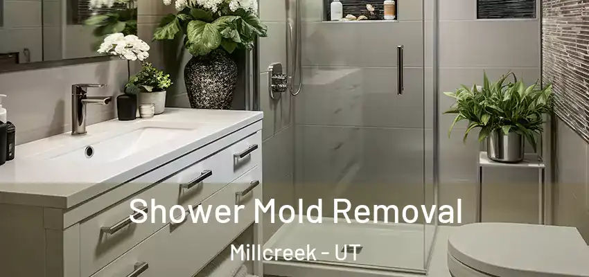 Shower Mold Removal Millcreek - UT