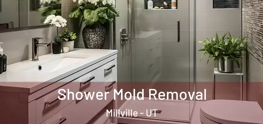  Shower Mold Removal Millville - UT