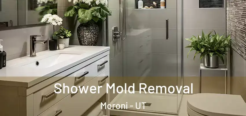 Shower Mold Removal Moroni - UT